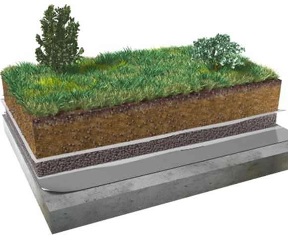 Green roofs as architecture