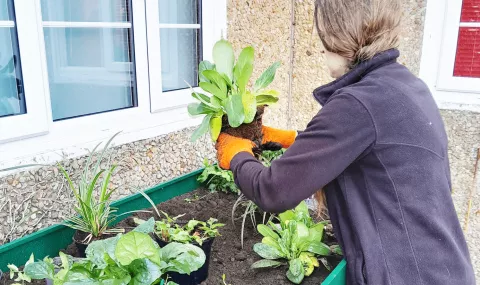 Gloucestershire Wildlife Trust Specify Leca® Flower in 50L Bags