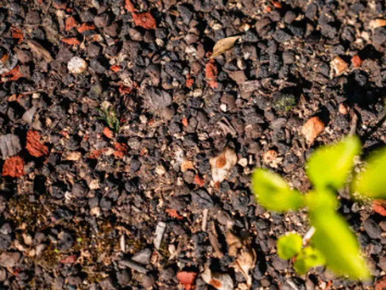REIMAGINING URBAN GREENSPACE OVER PARKING STRUCTURES