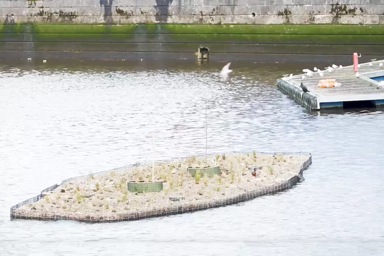 GLASGOW FLOATING WETLANDS