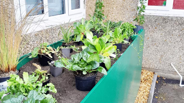 Gloucestershire Wildlife Trust Specify Leca® Lightweight Aggregate in 50L Bags