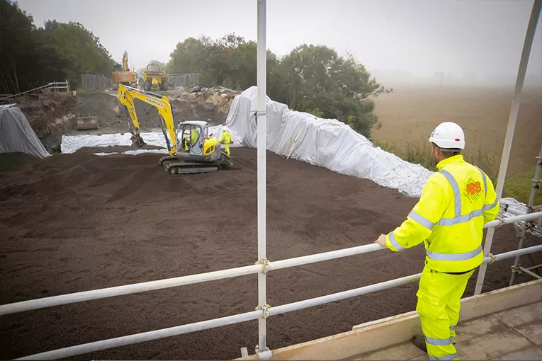 Bridge Development