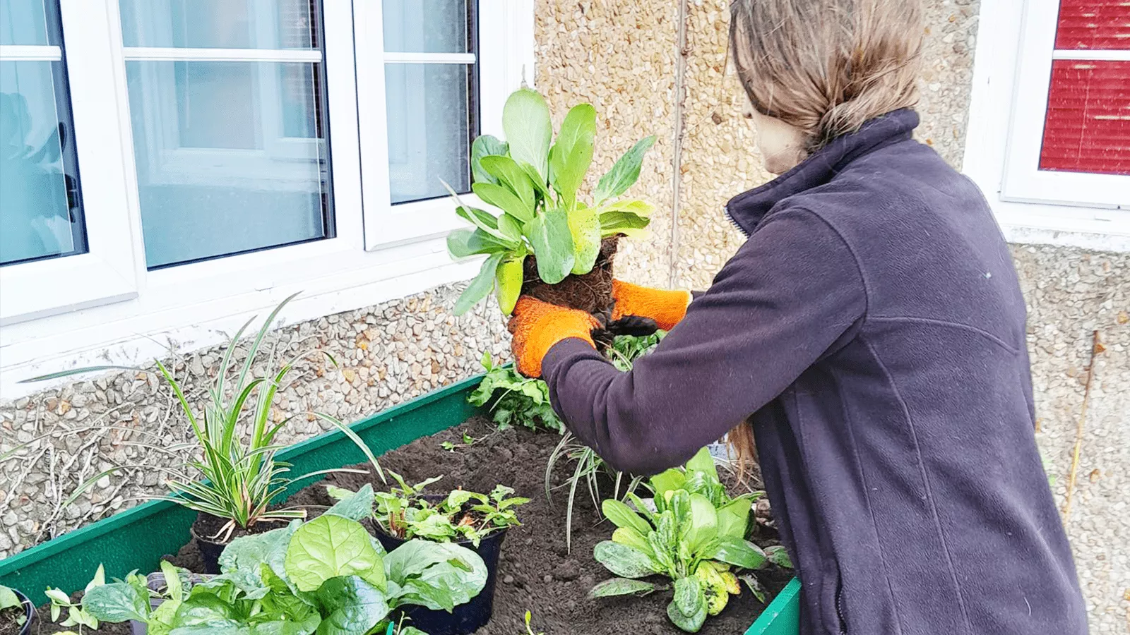 Gloucestershire Wildlife Trust Specify Leca® Flower in 50L Bags