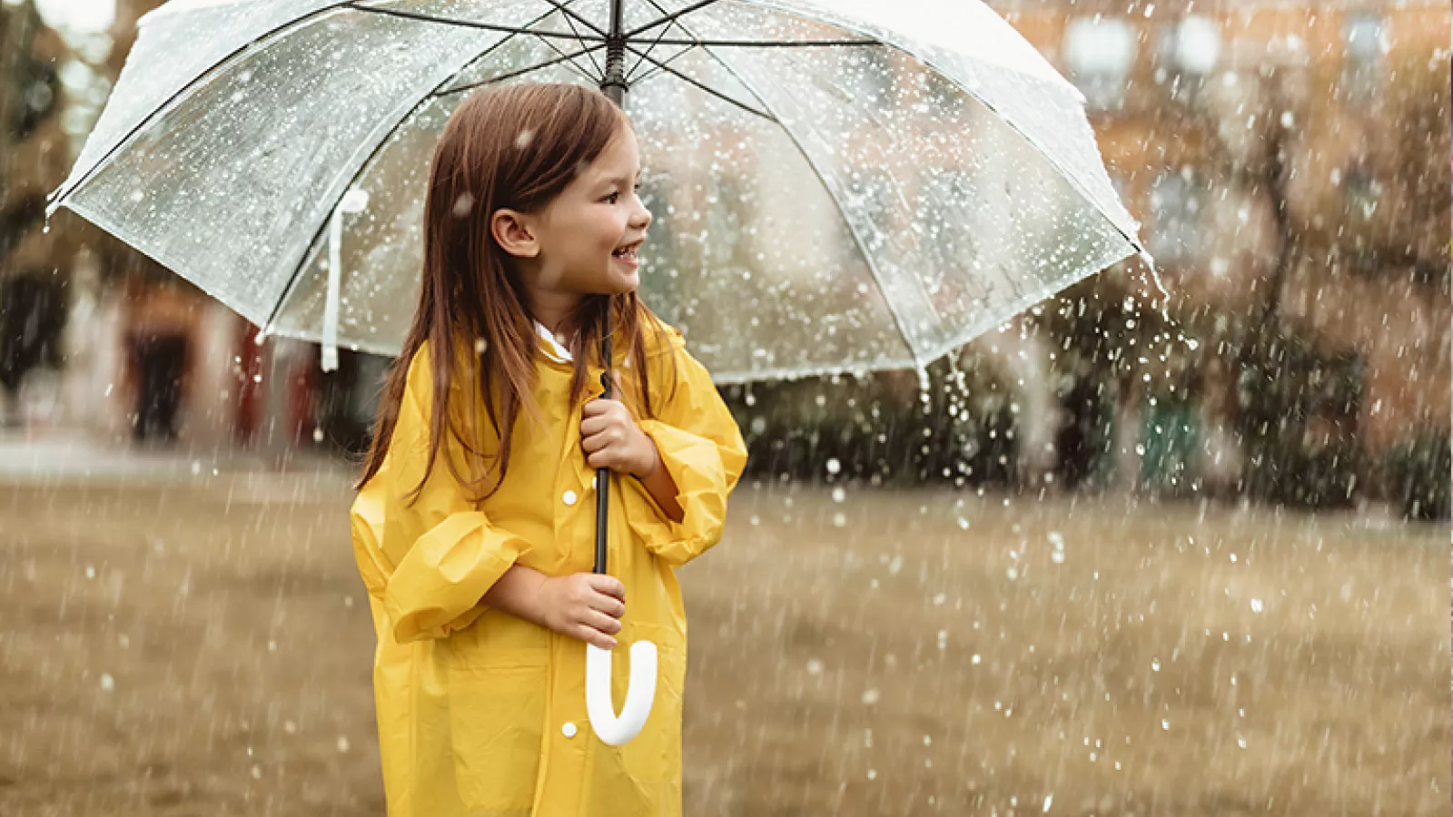 Rain Water Management