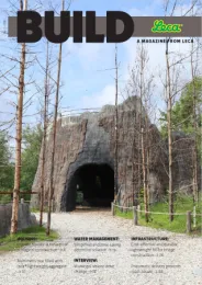 Build Issue 10
