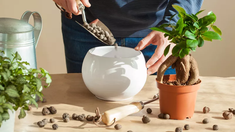 Alternative Garden Soil