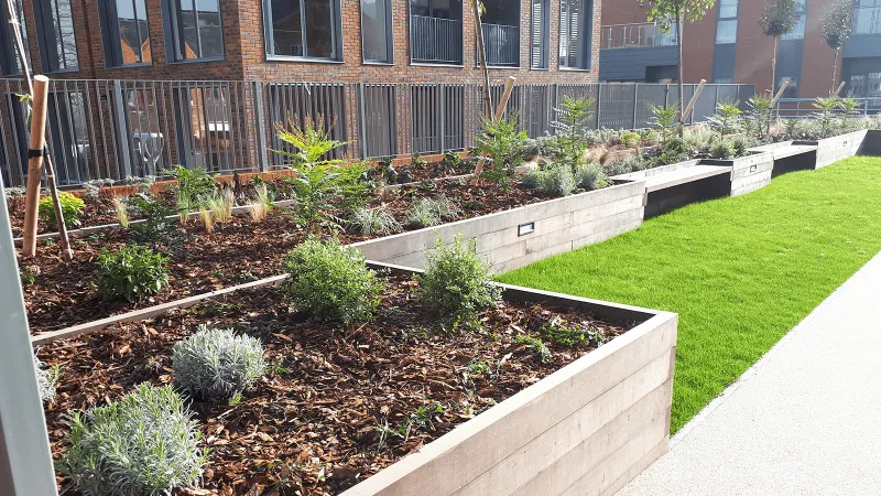 Alternative Garden Soil