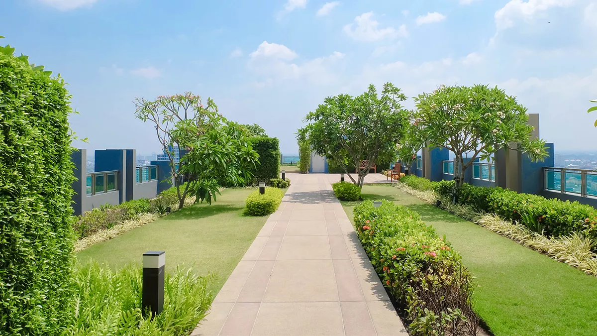 green roof webinar