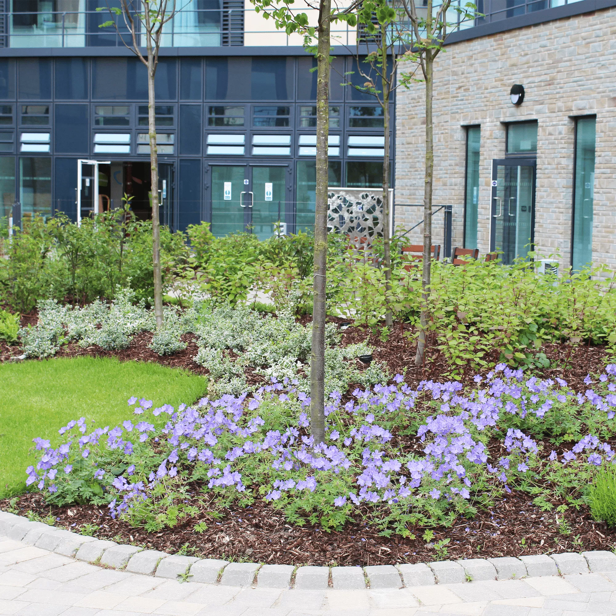 Landscape Green Roof