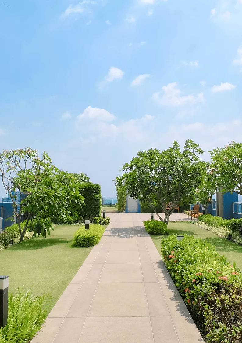 Landscape Green Roof